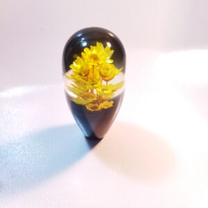 سردنده پیکان