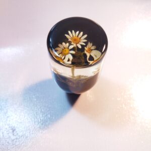 سردنده بابونه