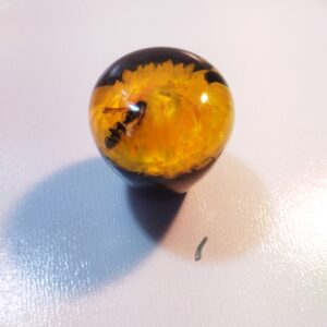 سردنده زنبور